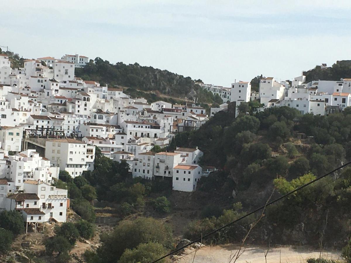 Апартаменти Casares Vacations Екстер'єр фото